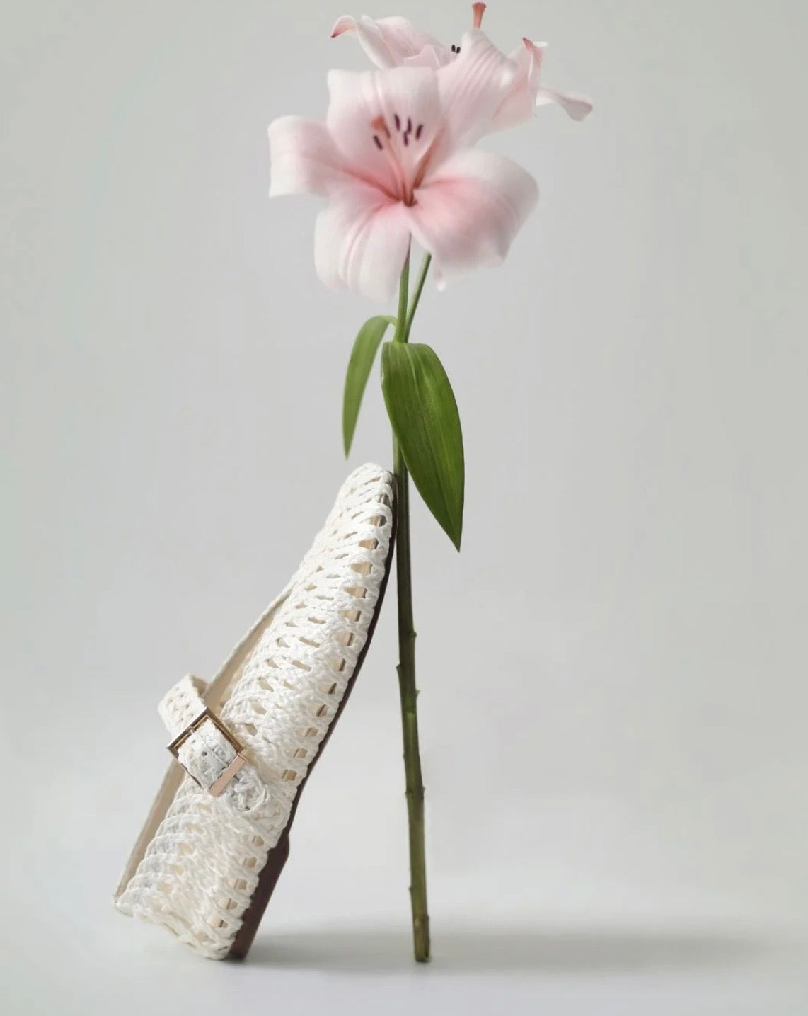 Noa Harmon Ballerina