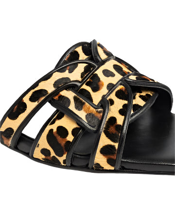 Dansi Flats